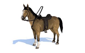 Horse Palomino Rigged Animated SL