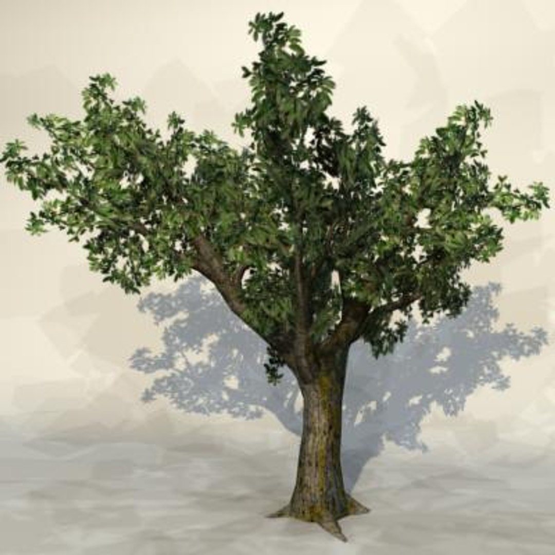 Max Pc Tree