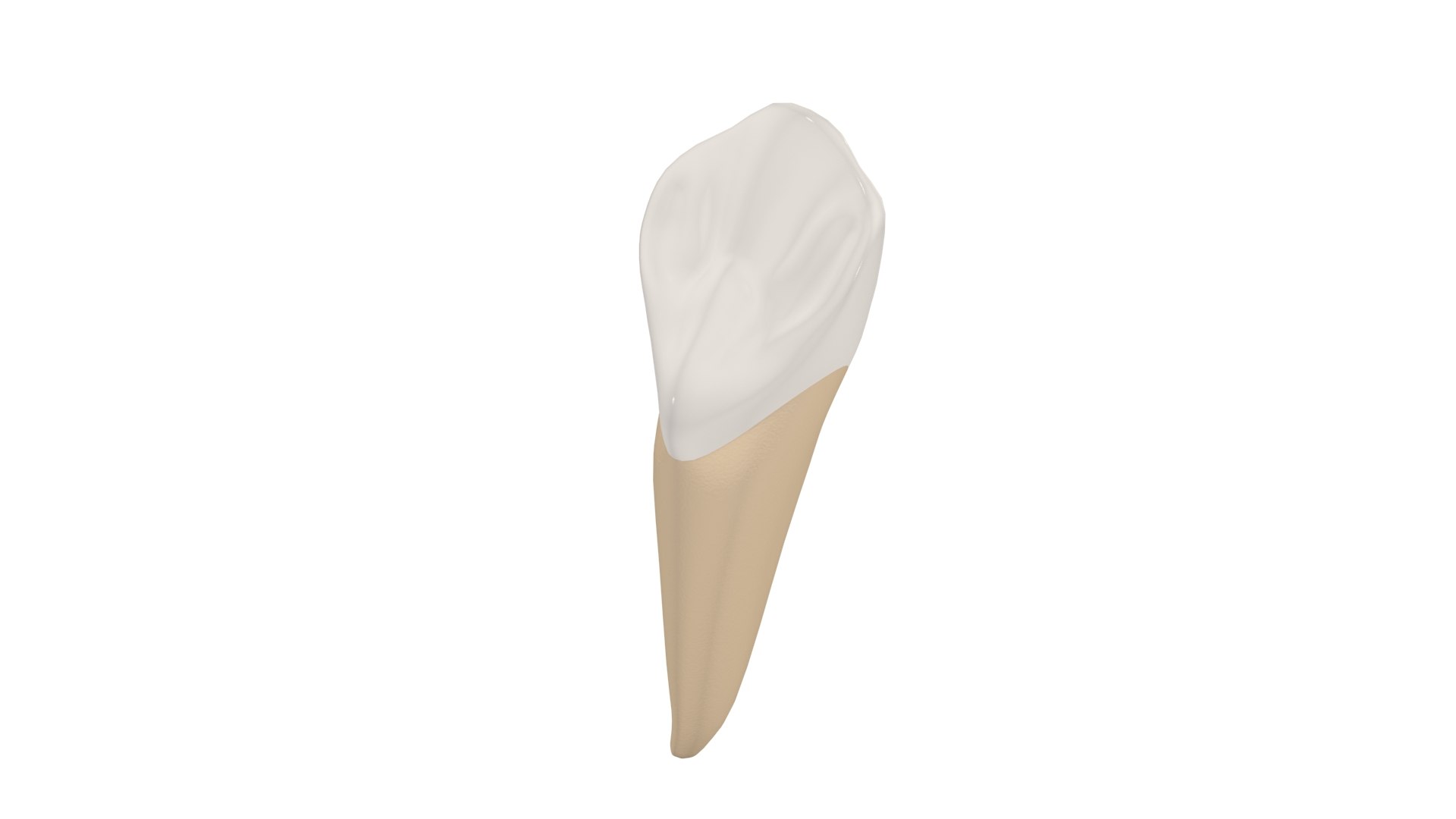 Canine Tooth 3D model https://p.turbosquid.com/ts-thumb/Nd/UVELa7/XD/canine0003/jpg/1628540437/1920x1080/fit_q87/b0d4dbe071698938d1598ad6195d31e28f4cc52d/canine0003.jpg