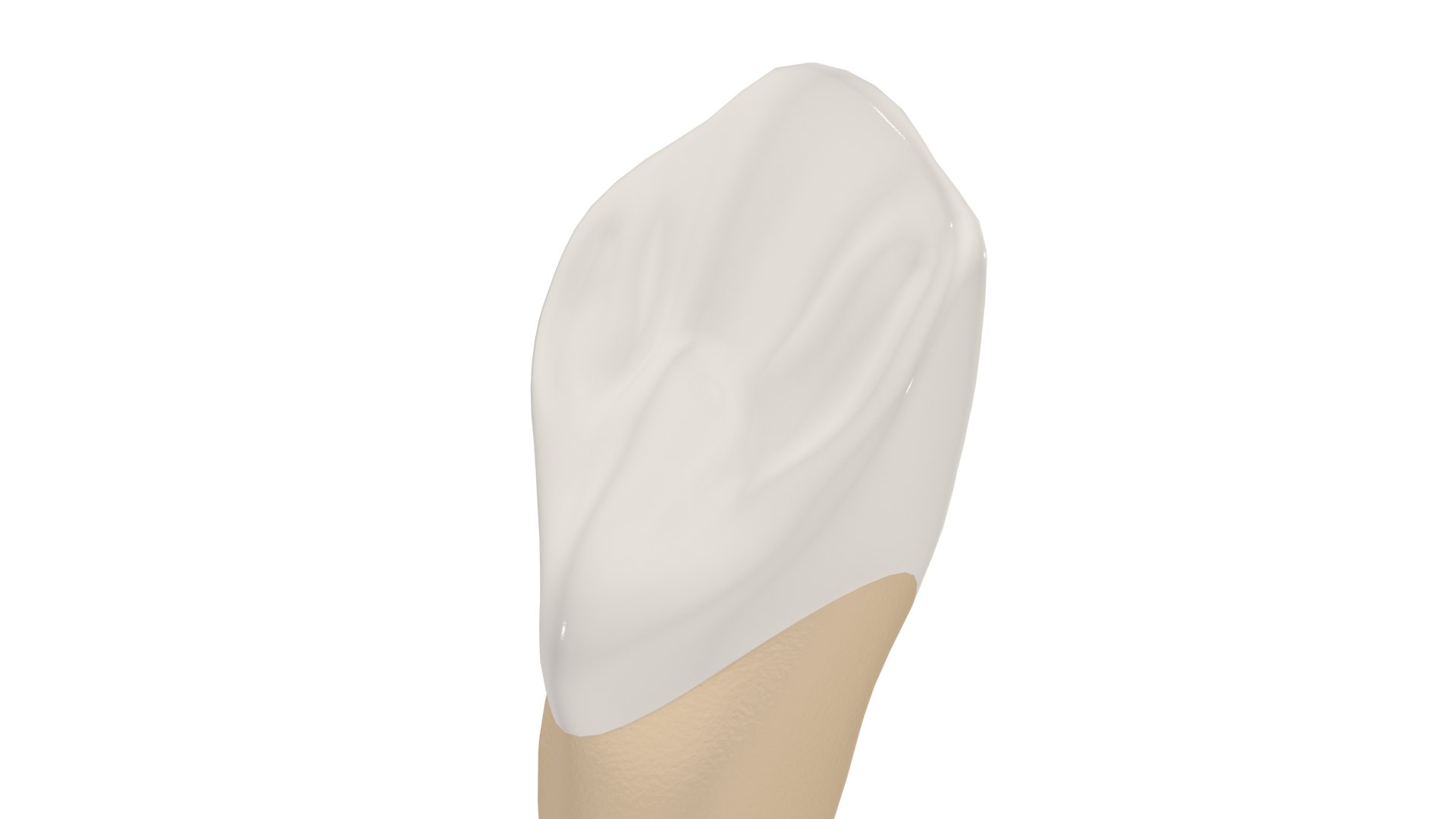 Canine Tooth 3D model https://p.turbosquid.com/ts-thumb/Nd/UVELa7/n8/canine0005/jpg/1628540437/1920x1080/fit_q87/8c8839b959f82eaaf1656a9b3eb871bc48476d27/canine0005.jpg