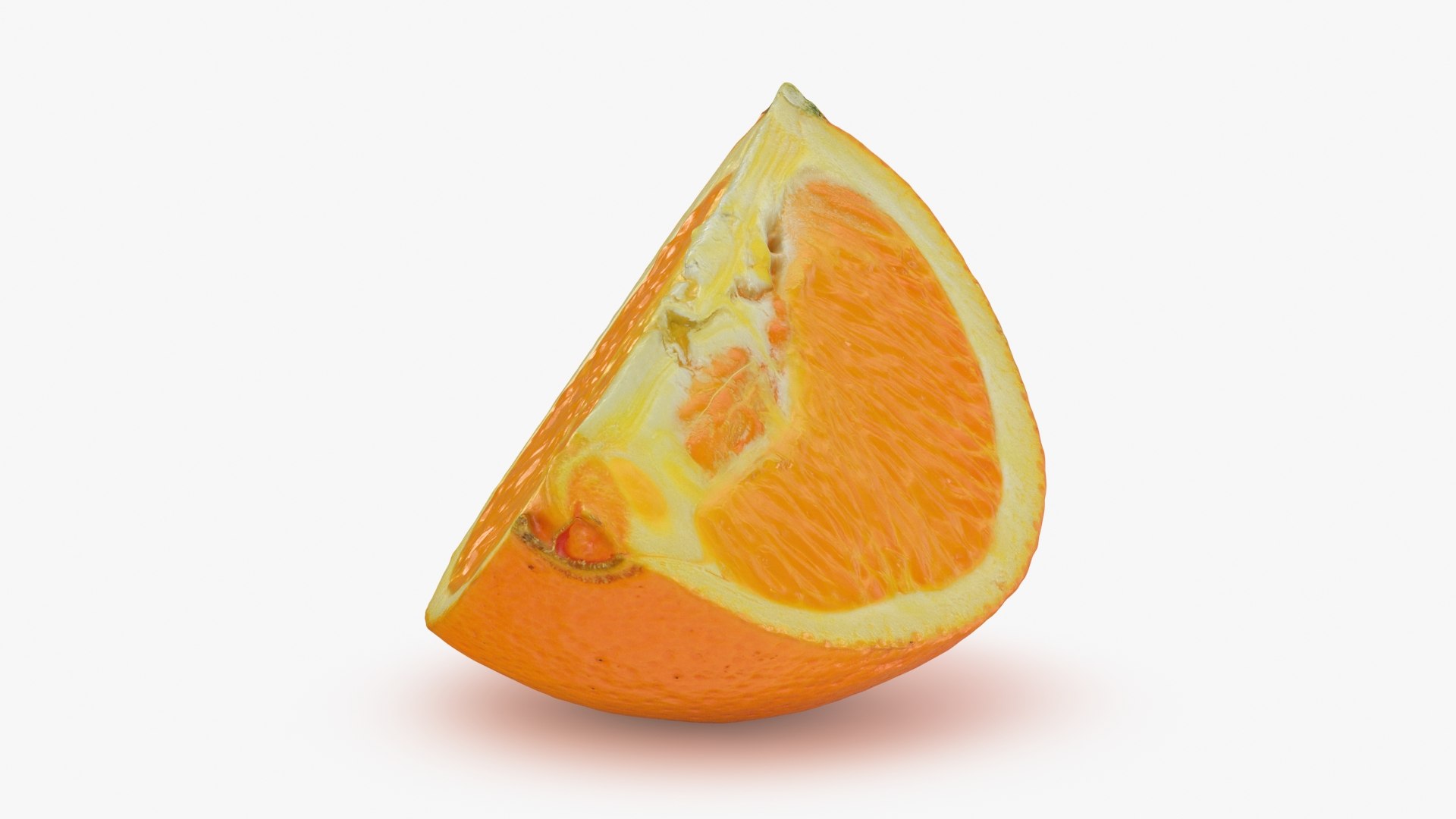 Orange Slice 3D model https://p.turbosquid.com/ts-thumb/Nd/VGg785/2E/orangeslice1_b0006/jpg/1717684006/1920x1080/fit_q87/5990af00149c818ed4e80798469ad3173ee3fde4/orangeslice1_b0006.jpg