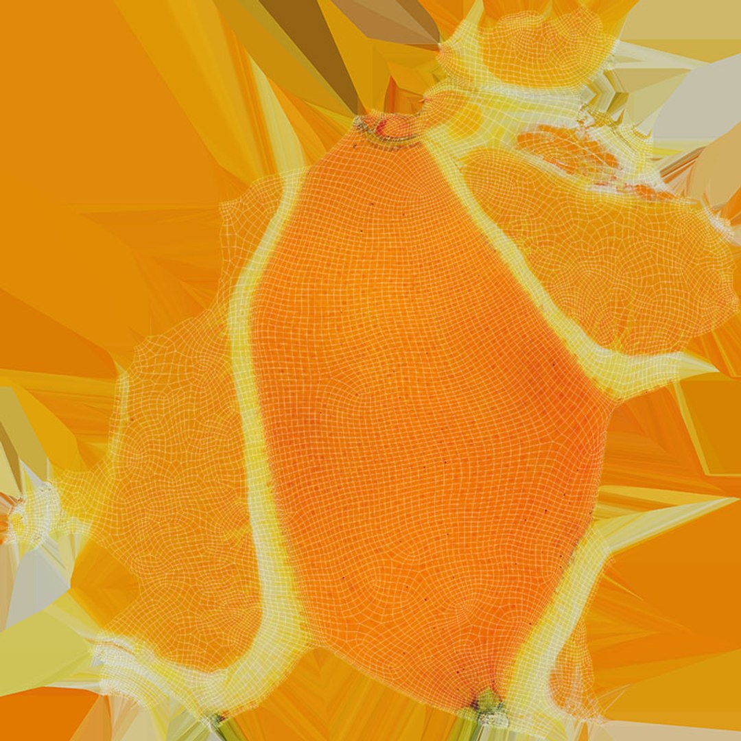 Orange Slice 3D model https://p.turbosquid.com/ts-thumb/Nd/VGg785/Xi/orangeslice1_d0004/jpg/1716862526/1920x1080/fit_q87/f0ab27cb7ed82cbffae1fb529b8ede863526499a/orangeslice1_d0004.jpg