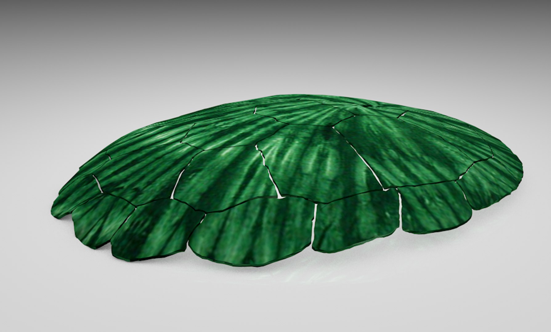 turtle shell model https://p.turbosquid.com/ts-thumb/Nd/ZIV0WX/1eokBRyG/screenshot20191122at9.59.29am/png/1574435147/1920x1080/fit_q87/2248f41cff477c41ca2f62132d16b9e88e55a68d/screenshot20191122at9.59.29am.jpg