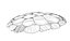 turtle shell model