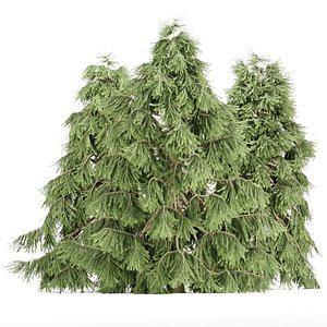 Weeping White Spruce Vol 279-Blender-3d models 3D model