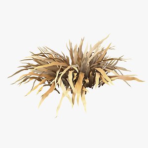 Cartoon Dry Grass 11 3D