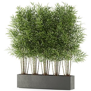 3D model Plants collection 480