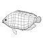 tfish7