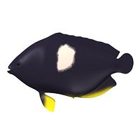 tfish7