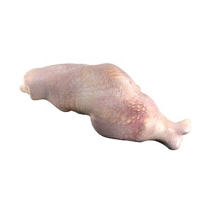 Raw chicken drumstick v3 3D