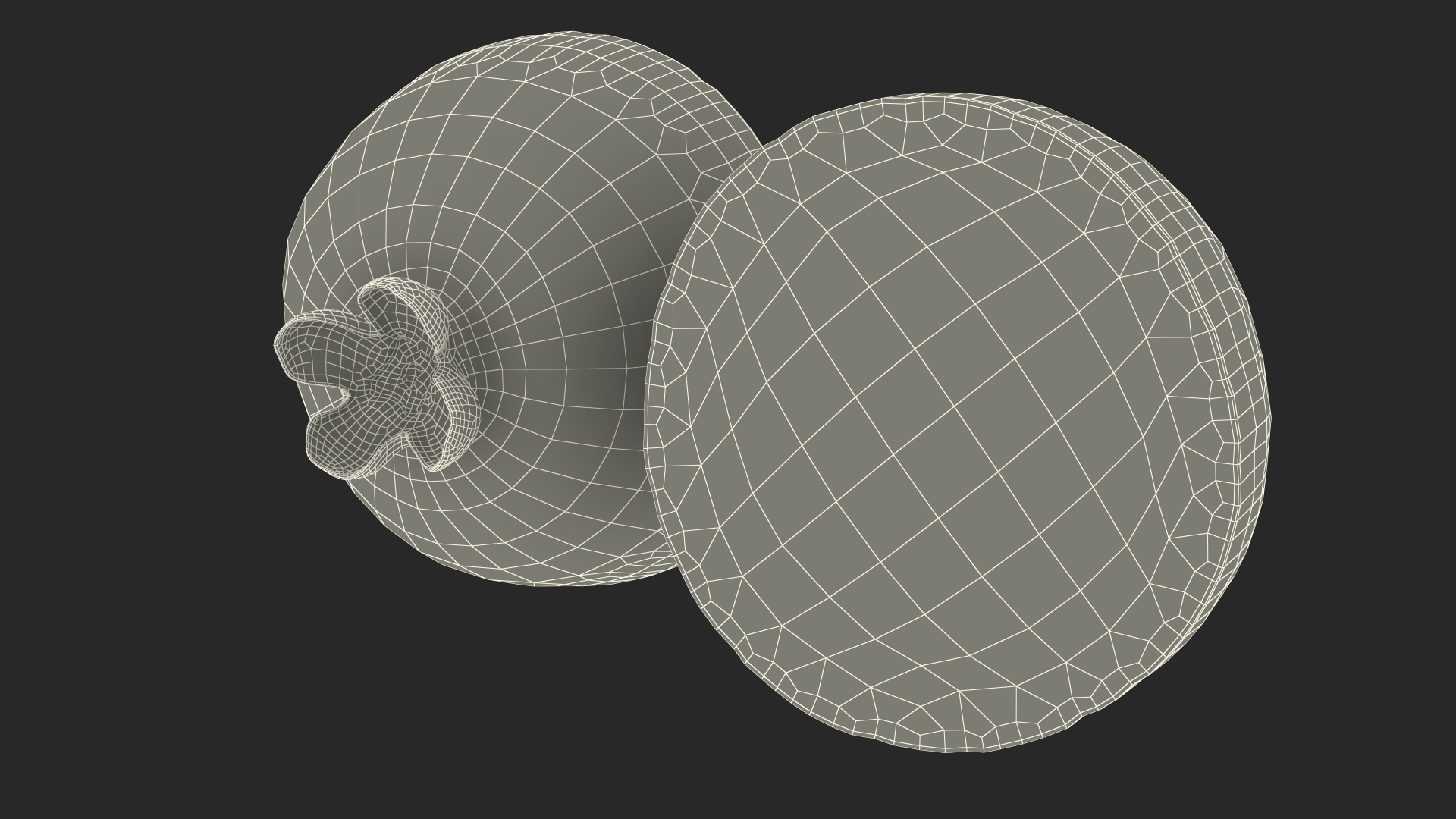 Feijoa Fruit Halves 3D Model - TurboSquid 1838070