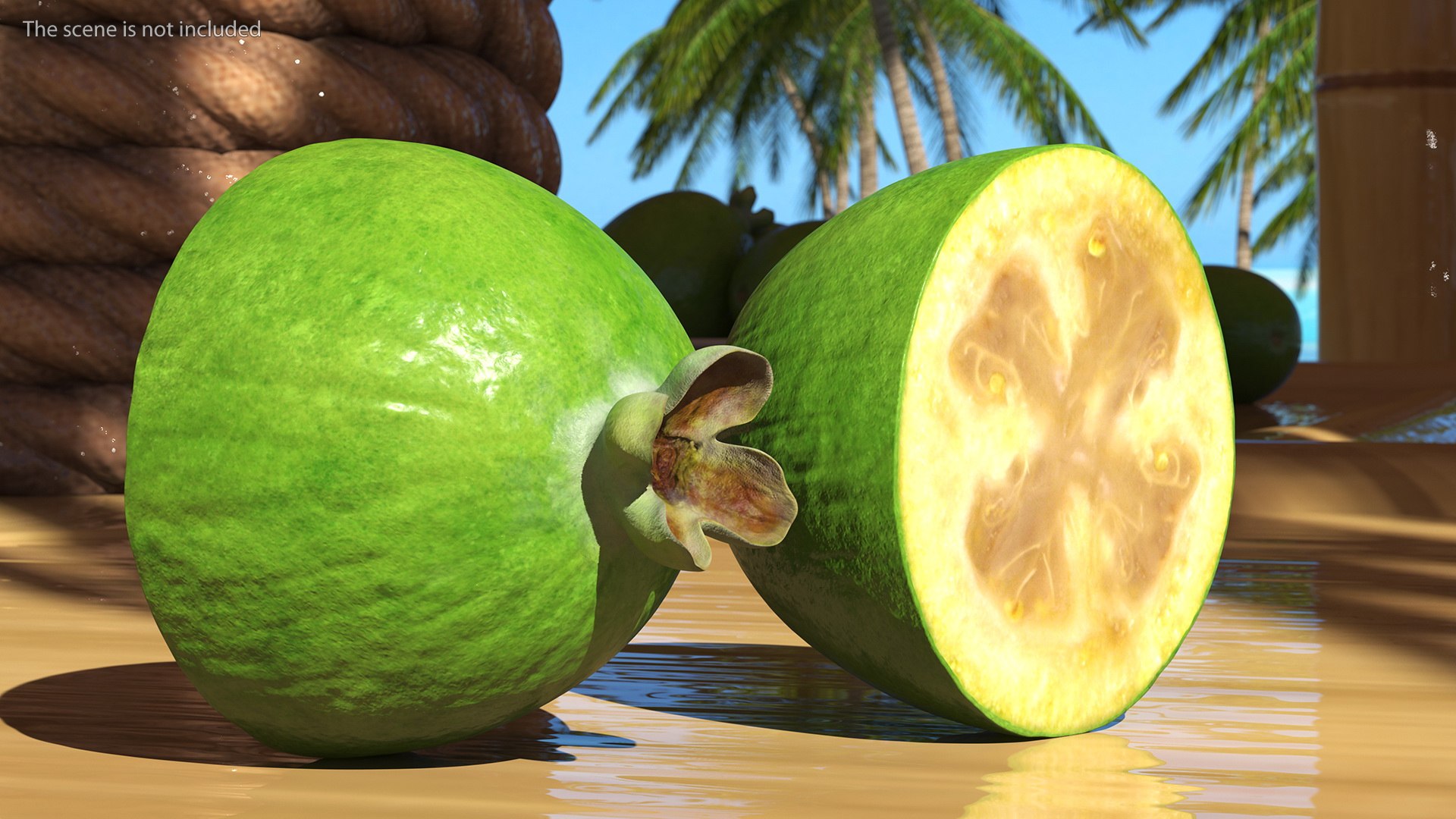 Feijoa Fruit Halves 3D Model - TurboSquid 1838070