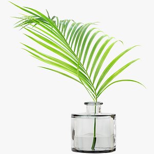 3D model palm leaf