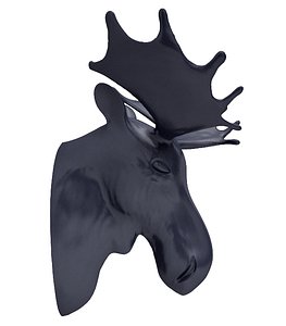 Moose Head