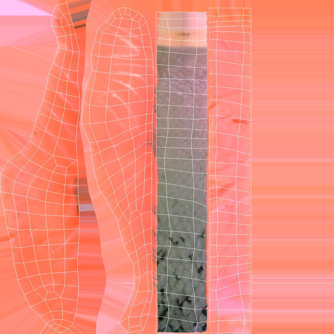 Raw Salmon Fillet Model - TurboSquid 1930122