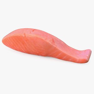 Raw Salmon Fillet