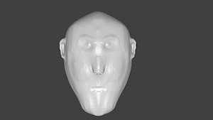 3D HEAD