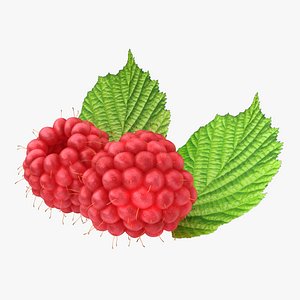 Raspberry