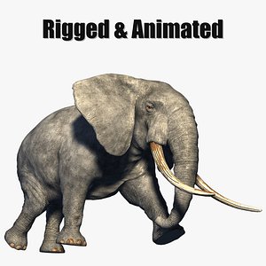 animated elephant 3D model