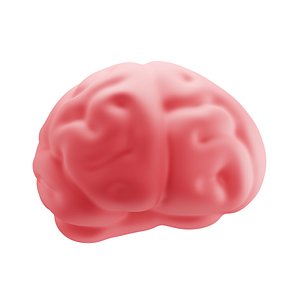 Brain Icon