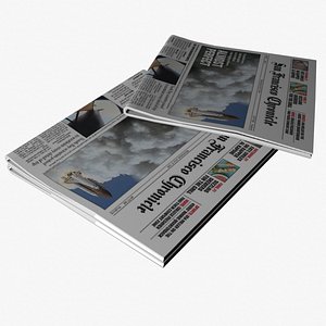 3d model newspaper