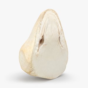 Half Straw Mushroom 01