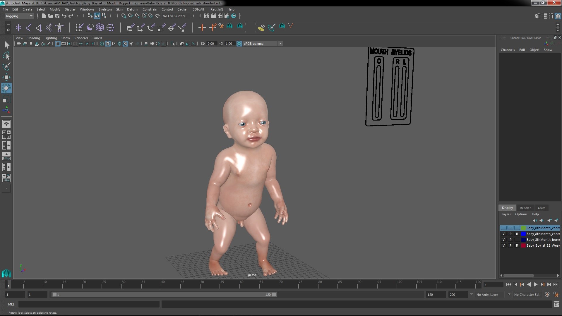 3D model Baby Boy at 8 Month Rigged for Maya https://p.turbosquid.com/ts-thumb/Ne/YblwnH/JB/babyboyat8monthriggedformayavray3dmodel039/jpg/1694063696/1920x1080/fit_q87/b5440cbcadd5714500215b489444f4461a51b15c/babyboyat8monthriggedformayavray3dmodel039.jpg