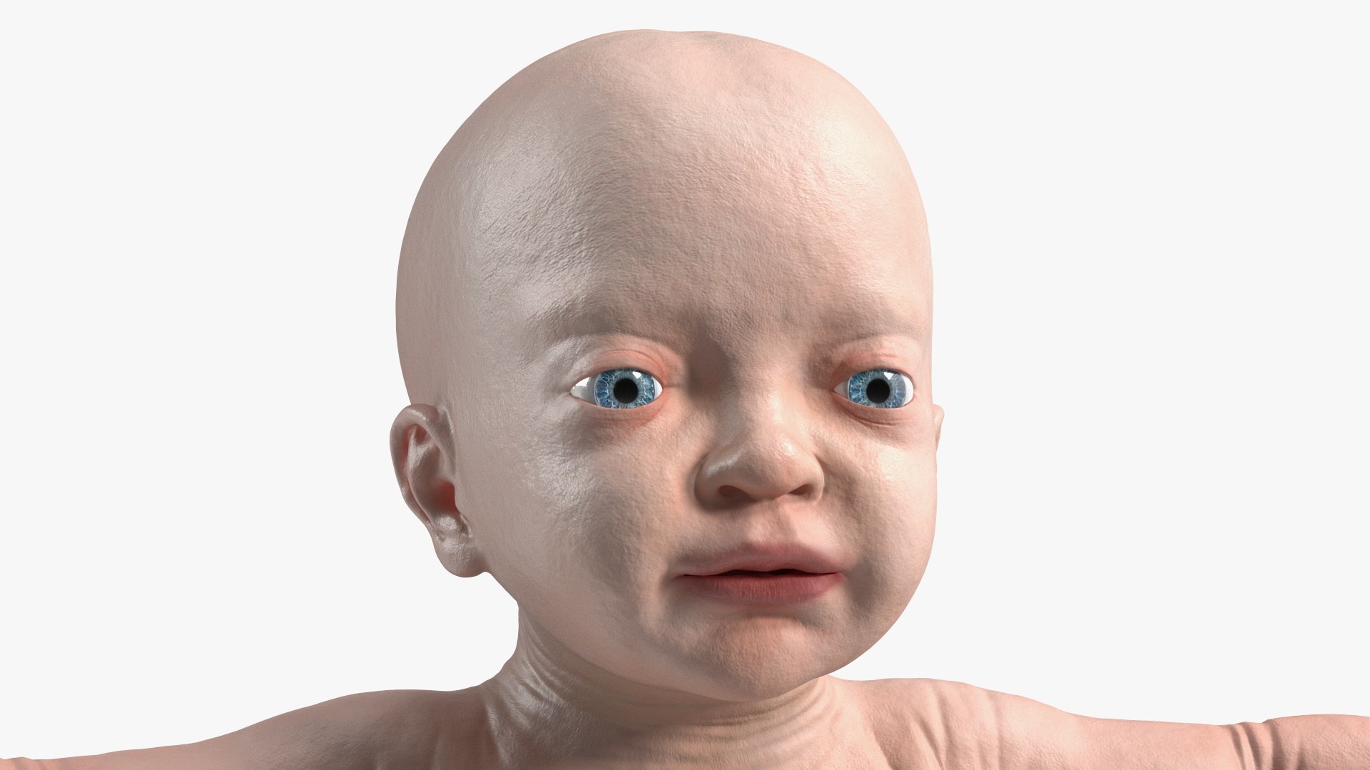 3D model Baby Boy at 8 Month Rigged for Maya https://p.turbosquid.com/ts-thumb/Ne/YblwnH/Kw/babyboyat8monthriggedformayavray3dmodel020/jpg/1694063620/1920x1080/fit_q87/46bb0a0c031673d99dc4035df828ae84984fbe7a/babyboyat8monthriggedformayavray3dmodel020.jpg