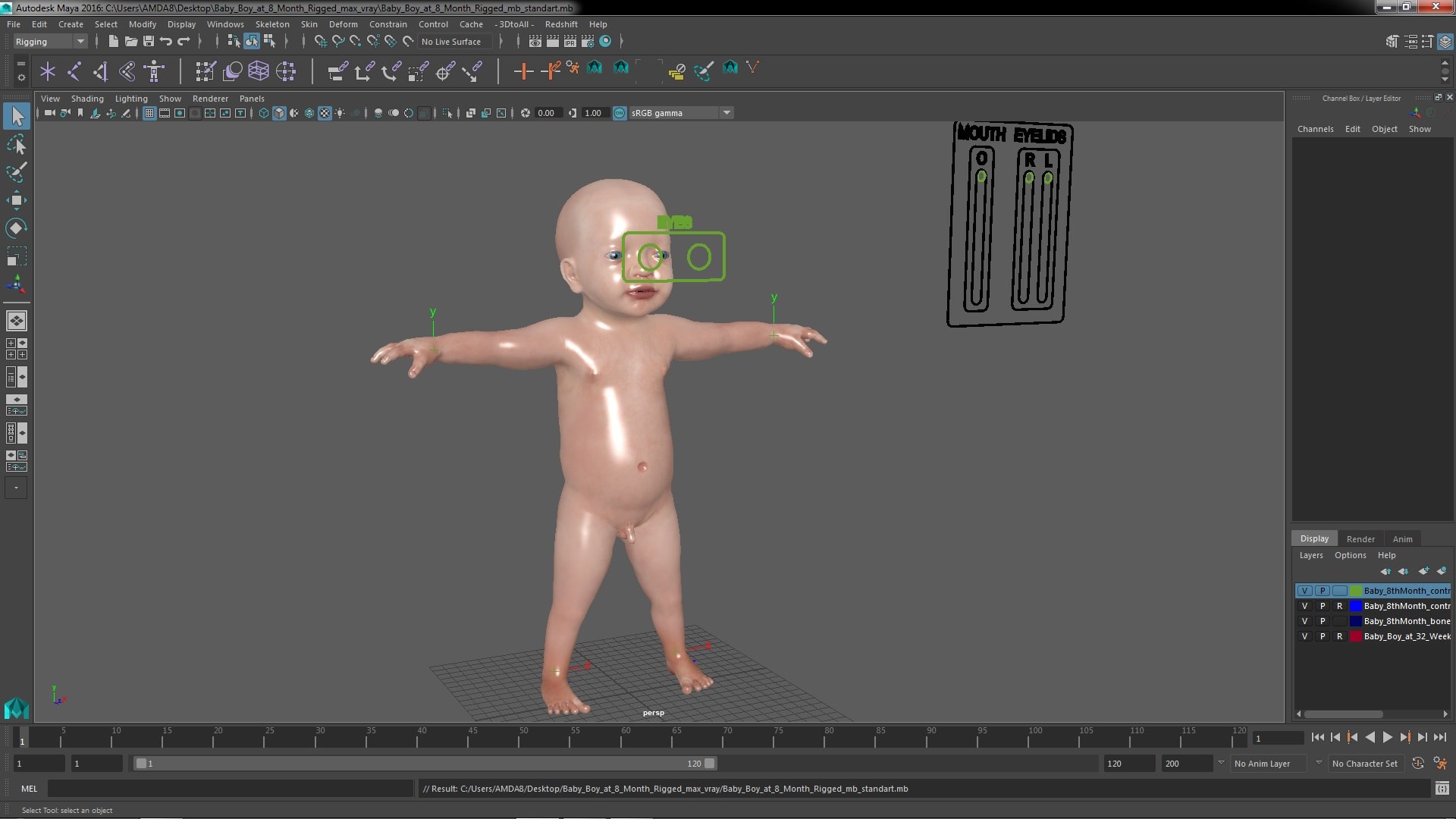 3D model Baby Boy at 8 Month Rigged for Maya https://p.turbosquid.com/ts-thumb/Ne/YblwnH/pU/babyboyat8monthriggedformayavray3dmodel035/jpg/1694063680/1920x1080/fit_q87/3fd87e25548a200b5a73c8288ecc8a053553f3f2/babyboyat8monthriggedformayavray3dmodel035.jpg