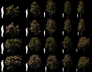 Magnolia trees x 20 models + GrowFX files
