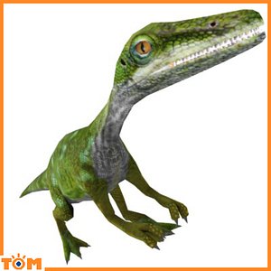 Compsognathus