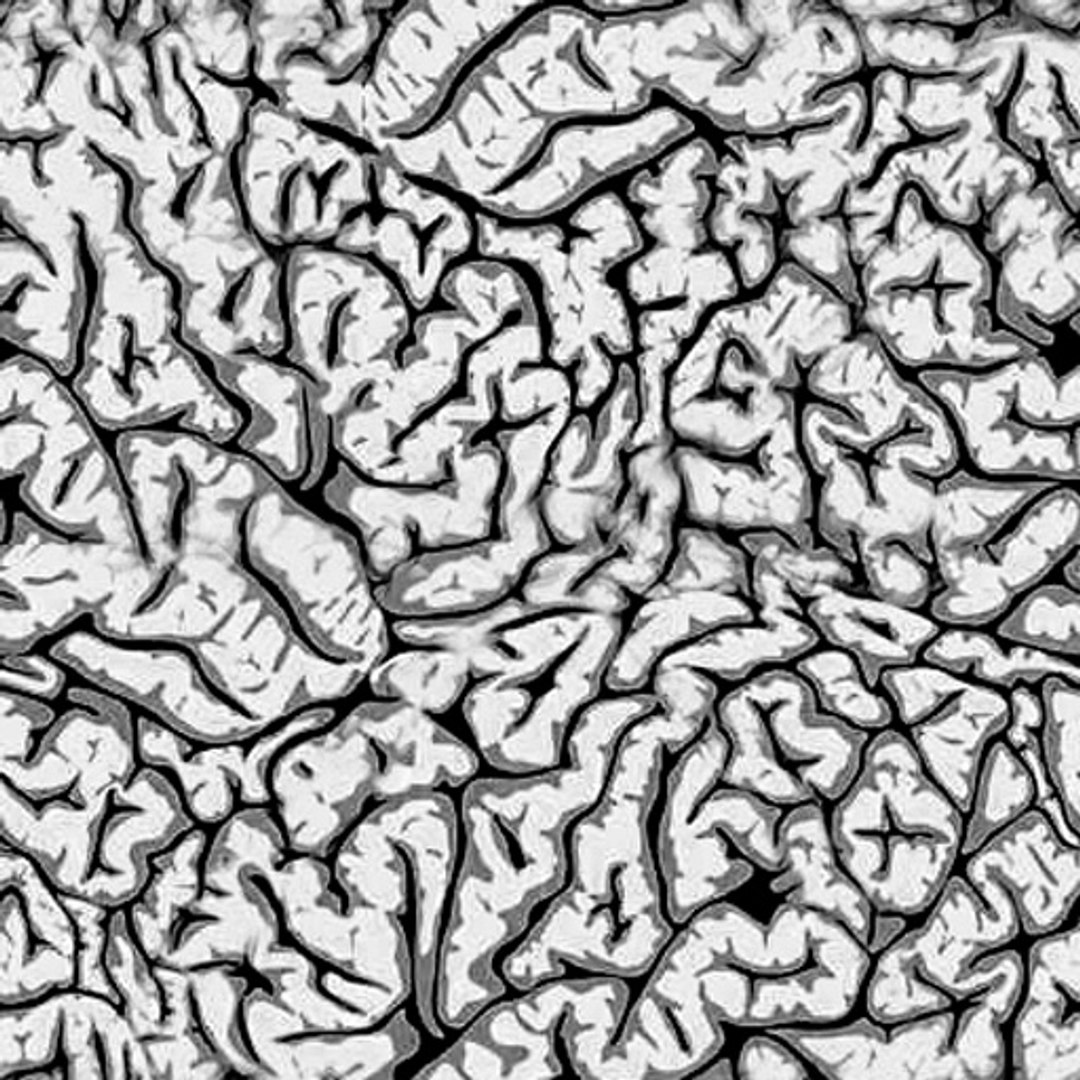 3ds brain https://p.turbosquid.com/ts-thumb/Ne/hHvDZh/AeFoAsNB/brain_b/jpg/1354007132/1920x1080/fit_q87/98bf17bd793379c183b287d515fcd4ea36c0e5b6/brain_b.jpg