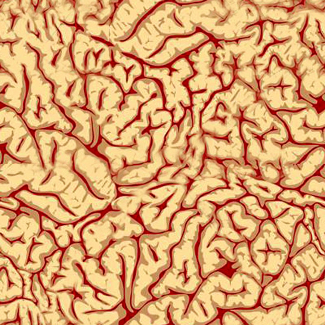 3ds brain https://p.turbosquid.com/ts-thumb/Ne/hHvDZh/wnIllmeR/brain_d/jpg/1354007132/1920x1080/fit_q87/0f5d52fdecc2bd7986723df1e03f70c53a1649b5/brain_d.jpg