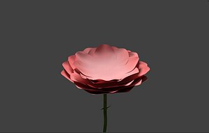 3D model basic pink