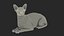 3D sphynx cat black lying