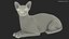 3D sphynx cat black lying