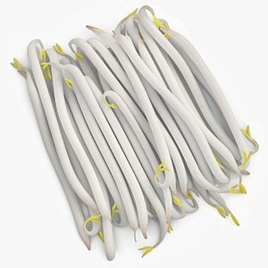Fresh White Bean Sprouts model