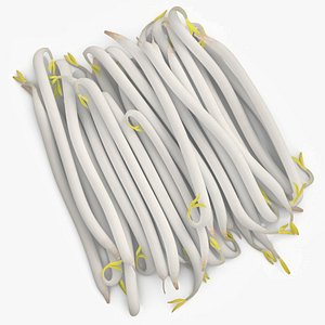 Fresh White Bean Sprouts