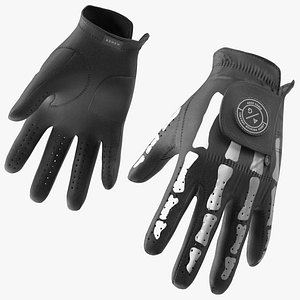 Black Premium Golf Gloves Asher 3D model