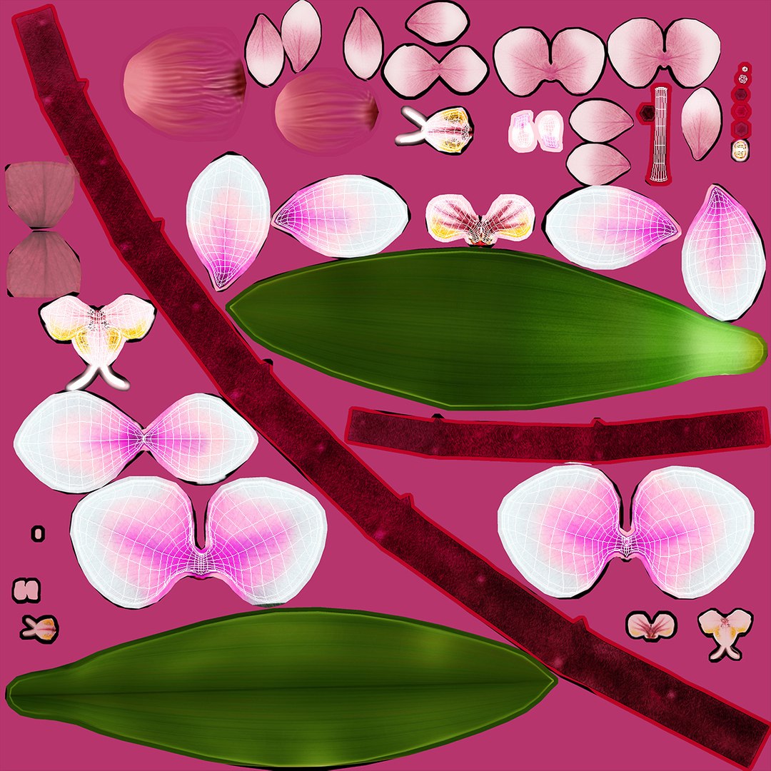 3d model of orchid flower https://p.turbosquid.com/ts-thumb/Nf/0GxHyD/1X/orchid_flower_018/jpg/1625801530/1920x1080/fit_q87/ba61dc8998a6fb840f053cd24a7957439f623024/orchid_flower_018.jpg