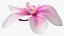 3d model of orchid flower