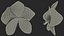 3d model of orchid flower
