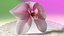 3d model of orchid flower
