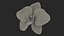 3d model of orchid flower