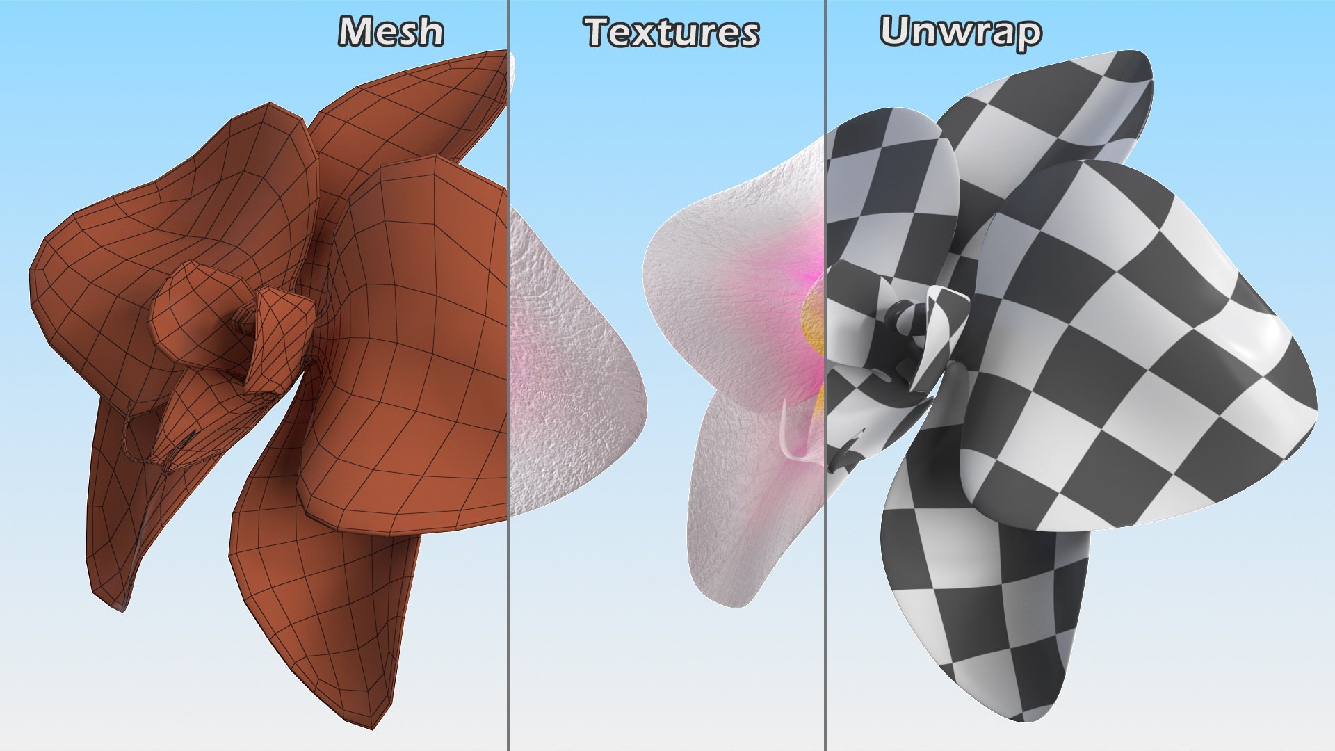 3d model of orchid flower https://p.turbosquid.com/ts-thumb/Nf/0GxHyD/id/orchid_flower_015/jpg/1625801472/1920x1080/fit_q87/4d6231dad040542a54c85fbf65d62d604c03cf99/orchid_flower_015.jpg