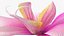 3d model of orchid flower