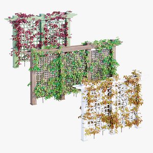 Outdoor Privacy Screen model