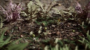 3D Ground Plants 21 Assets