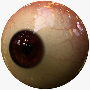 3d realistic human eye pupil model