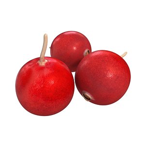 berry fruit 3D model